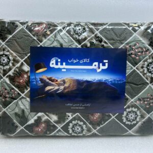 روبالشی طرح‌دار ترمینه بسته 2 عددی RB 12